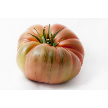 Tomate Raft (500gr)