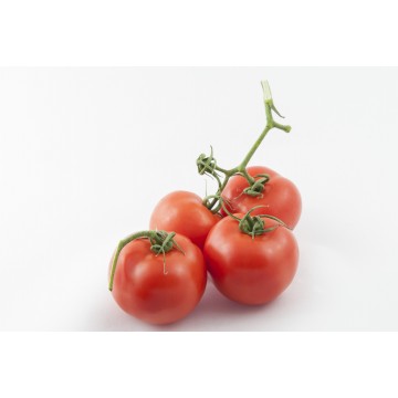 Tomate Rama (500gr)